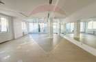 Apartament generos cu gradina 222mp si parcare | Magurele - 2