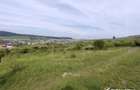 8.700 mp pentru dezvoltare rezidentiala la 3 km de CREIC - Chinteni - 7