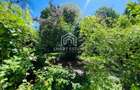 Floreasca Compozitori | Apartament 2 Camere decomandat - 11