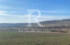 Teren extravilan de vanzare 3.900mp | Mierlau | Bihor - 3