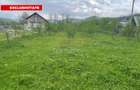 Teren Intravilan 12500 mp Drajna de Sus - Teisani. - 1