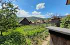 Vanzare casa cu anexe si 5500 mp teren, Valea Ariesului, Salciua - 7