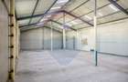 Spațiu industrial de 490mp de închiriat în zona Sud - 6