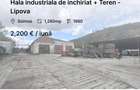 Hala industriala de inchiriat + Teren - Lipova - 1