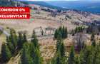 0% COMISION! Teren constructie cabana,  7600 MP, in Dealu Botii, Belis - 1