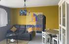 Apartament 2 camere Craiovei - 2