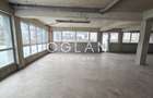 Spatiu Comercial 305 mp+ gradina 178mp, Bieltz/Turnisor - 1