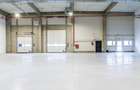 4646 mp - Hala industriala de inchiriat in Parc Industrial Arad - 19
