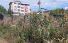 TEREN PENTRU VILA PANTELIMON LAC LEBADA - 6