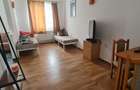 Cazare muncitori garsoniere/apartamente la curte in Vladimirescu - 7