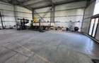 Hală industrială 788mp  + Birouri 145mp - 4