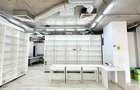 Spatiu Comercial Vasile Lascar - 7