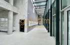 PRIMA INCHIRIERE/ANSAMBLU CU SPA SI PISCINA/PARCARE SUBTERANA SI BOXA/(+tva) - 10