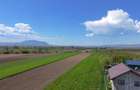 Grădini intravilane Brasov, cu priveliste, minim 200mp - 4