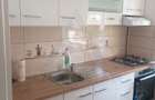 Apartament 2 camere complet mobilat parter 50 mp utili zona Terezian - 5