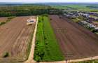 Teren 10.200mp Domnești-Țegheș -Pădure: 17 Loturi Ready-to-Build - 3