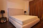 HERASTRAU PENTHOUSE NORDULUI  APARTAMENT 3 CAMERE LUX LINGA PARC - 11