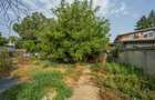 CHIAJNA - CASA RENOVABILA 129 MP, LOT 690 MP! - 16