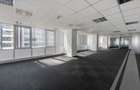 Floreasca Tower - 10