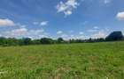 Snagov- Gruiu- Santul Floresti -Proprietate cu stil pentru oameni gospodari! - 52