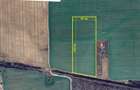 GRADISTEA - Sat Sitaru, Tarla 43, vanzare 22.200 mp. teren cu acces din DJ101 - 1