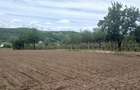 RECO Teren intravilan Hidiselul de Jos langa padure - 4