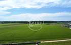 OPORTUNITATE INVESTIȚIE:Teren intravilan 25.000mp Dascălu-Pădure, parcelabil - 12