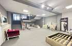 Ultracentral, spatiu comercial 490 mp. - 10