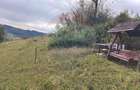 Teren intravilan constructii 3082 mp Damis Bratca drum DJ 764D - 13
