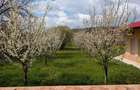 Arges | Valea Mare-Bratia | Vila veritabila 276 mp in zona pitoreasca - 4