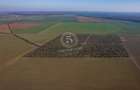Ocazie- Teren Intravilan de Vanzare- Peris Snagov- Doar 10 euro/mp - 14