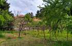 Casa de vanzare in Cuvin com. Ghioroc jud Arad - 8