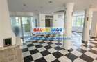 Vila 5 camere investitie -  Baneasa Aerogarii - 13