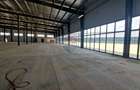 COMPLEX INDUSTRIAL & COMERCIAL PREMIUM | ILFOV