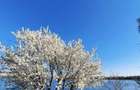 Apartament superb 3 camere gradina pe lac Damaroaia - 1