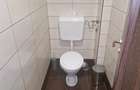 Spațiu cu vitrina ultracentral, Cisnadie - 13