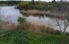 OCAZIE VANZARE TEREN CU DESCHIDERE LA LAC - 5