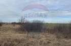 Teren intravilan 13800 mp - Centura de Nord Arad - 3