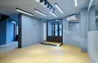 Spatiu comercial, stradal , de inchiriat in Bdul Decebal - 2