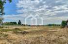 Loc de casa Jucu de Mijloc zona Panemar,  1129 mp | 14m front | asfalt - 2