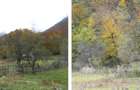 Teren - 5997  mp, Sat. Salistea - 3