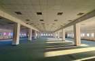 Spatiu show room, 1500 mp , parcare , Calea Lugojului - 5