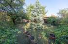 Casă de închiriat | Str. Tudor Vladimirescu | Zonă cu acces facil