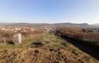 Teren intravilan 2700 mp-ideal case/investitie-Viisoara - 5