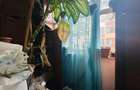 APARTAMENT 2 CAMERE, ETAJ 1, TIP X, ZONA CALEA ARADULUI, ALEEA CALINULUI - 7