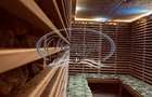 Spa cu renume si business welness functional - 19