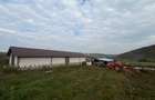 Oferta de vanzare ferma: hala de 500 mp.+teren 6500 mp, Frata, 65000 EURO - 1