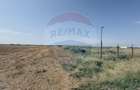 Teren agricol 16.750mp în Cârcea, imprejmuit, cultura capsuni, solarii - 14