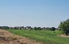Teren intravilan 2.000 mp, două loturi construibile – Darvari, Ciorogârla - 13