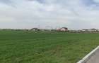 REL4001048 Teren Magurele - 16573 mp - Acces Dublu - Proximitate A0 - 4